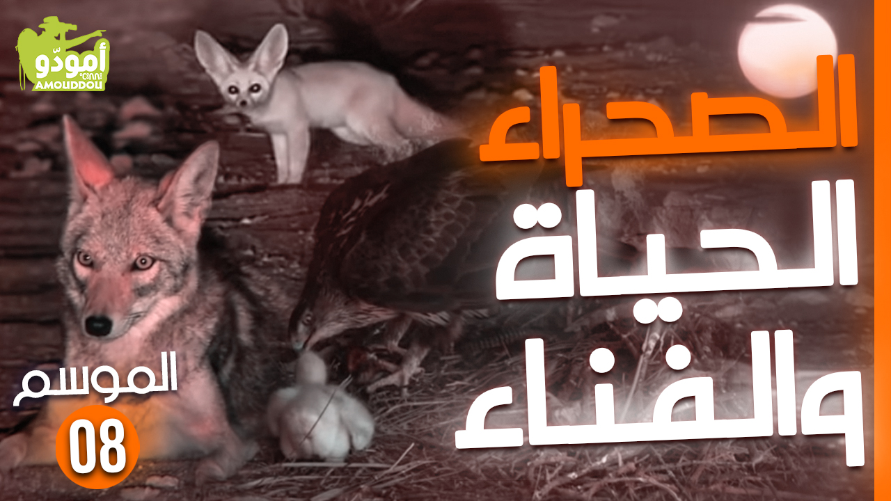 الصحراء، الحياة والفناء